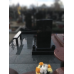 Наши работы 17